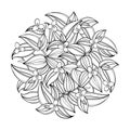 Vector round bouquet with outline Tradescantia or Wandering flower. Flower and leaf in black isolated on white background.