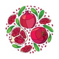 Vector round bunch with outline Pomegranate half and whole red fruit, ornate green leaf and seed isolated on white background.