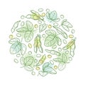 Vector round bunch with outline Soybean or Soy bean pod with beans and ornate leaf in pastel green isolated on white background.