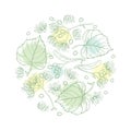 Vector round composition of outline Linden or Tilia or Basswood flower bunch, bract, fruit and ornate leaf in pastel isolated.