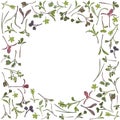 Vector round frame with microgreen. Herbs - carrots, chicory, purslane, radishes, beets, shungiku, cabbage, cabbage, alfalfa, Royalty Free Stock Photo