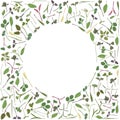 Vector round frame with microgreen. Herbs - pea, sunflower, onion, corn, basil, china rose, spinach, fennel, sorrel Royalty Free Stock Photo