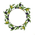 Vector round frame of olive branches with space for text