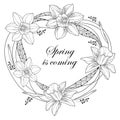 Vector round frame with outline narcissus or daffodil flowers and ornate leaves isolated. Spring is coming in contour style.