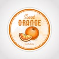 Vector round label of fruits on watercolor background, orange