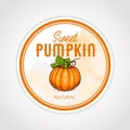 Vector round label of fruits on watercolor background, pumpkin