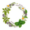 Vector round ornament of herbs and flowers