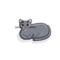 Vector Russian Blue Cat in Kawaii Style Royalty Free Stock Photo