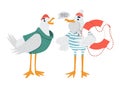 Vector sailor seagulls characters