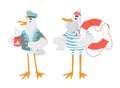 Vector sailor seagulls set.