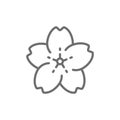 Sakura flower line icon.