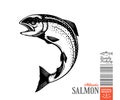 Vector salmon fish illustration Royalty Free Stock Photo