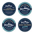 Vector salmon round labels and design elements