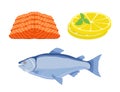 Vector salmon fish, slices of lemon - gourmet meal