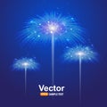 Vector salute firework