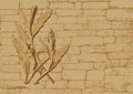 Vector - Sand stone sculpture on wall