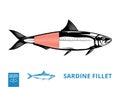 Vector sardine illustration with fillet Royalty Free Stock Photo