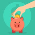 Vector save money piggy bank flat design banking economy save coin finance moneybox piggybank business investment pig Royalty Free Stock Photo