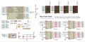 Vector electrical circuit of an electronic device assembled on an arduino.