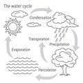 Water Cycle Black and white