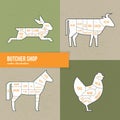 Vector scheme cuts beef, rabbit, horse and chicken Royalty Free Stock Photo