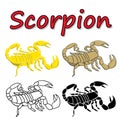 Vector scorpion isolated