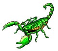 Vector Scorpion tattoo - ornate exquisite scorpion image, sign horoscope