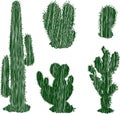 Vector scribble drawings of set various cactuses silhouettes