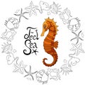 Vector Sea Horse with marine elements and inscription