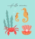Vector sea life poster with lettering hello ocean and crab, shell, seaweed, seahorse. Royalty Free Stock Photo