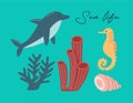 Vector sea life poster with lettering sea life and shell, seaweed, seahorse, corals, dolphin. Royalty Free Stock Photo