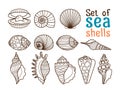 Vector sea shell line icons Royalty Free Stock Photo