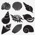 Vector sea shells black silhouettes isolated on the alpha transperant background.