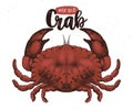Vector seafood illustration. Crab retro lillustration. Hand drawing sketch omar. Can be use for restaurant menu, kitchen