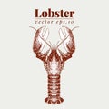 Vector seafood illustration. Lobster retro lillustration. Hand drawing sketch omar. Can be use for restaurant menu