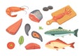 Vector Seafood illustrations set flat fresh fish and crab. Lobster and oyster, shrimp and menu, octopus animal