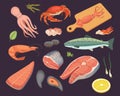 Vector Seafood illustrations set flat fresh fish and crab. Lobster and oyster, shrimp and menu, octopus animal