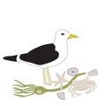 Vector Seagull, Seaweed, Sea Shells, Star Fish, Crab Illustration Royalty Free Stock Photo