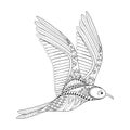 Vector Seagull. Zentangle Common Gull illustration, flying bird Royalty Free Stock Photo