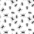 Vector seamless ant colony insect pattern