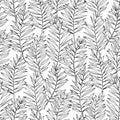 Vector seamless areca palm leaves pattern. Exotic foliage. Botanical illustration. Black and white