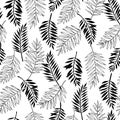 Vector seamless areca palm leaves pattern. Exotic foliage. Line drawings and silhouettes. Black and white