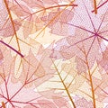 Vector seamless background with colored skeleton leaves