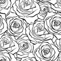 Vector seamless background of detailed, outline rose buds in black color