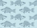 Seamless background with drawn sketches of fish Royalty Free Stock Photo