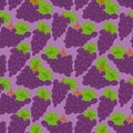 Vector seamless background with grapes illustration. Seamless pattern texture design Royalty Free Stock Photo