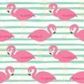 Stripe broad and flamingos seamless