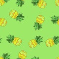 Vector Seamless Background Pattern with Pineapples. Hand drawn