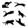 Vector Seamless background Puma on a white background Royalty Free Stock Photo