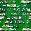 Vector seamless background with tropical green leaves. Royalty Free Stock Photo